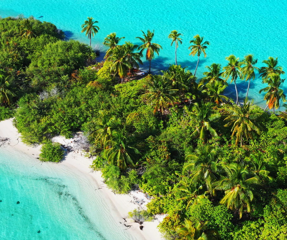 Arial picture of an island in the Maldives with trees. One of the vacations I can plan as your travel concierge. 