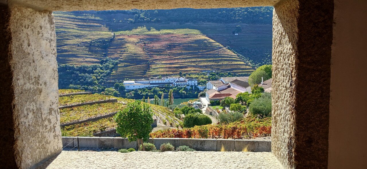 View from train window into the Douro Valley, Portugal
